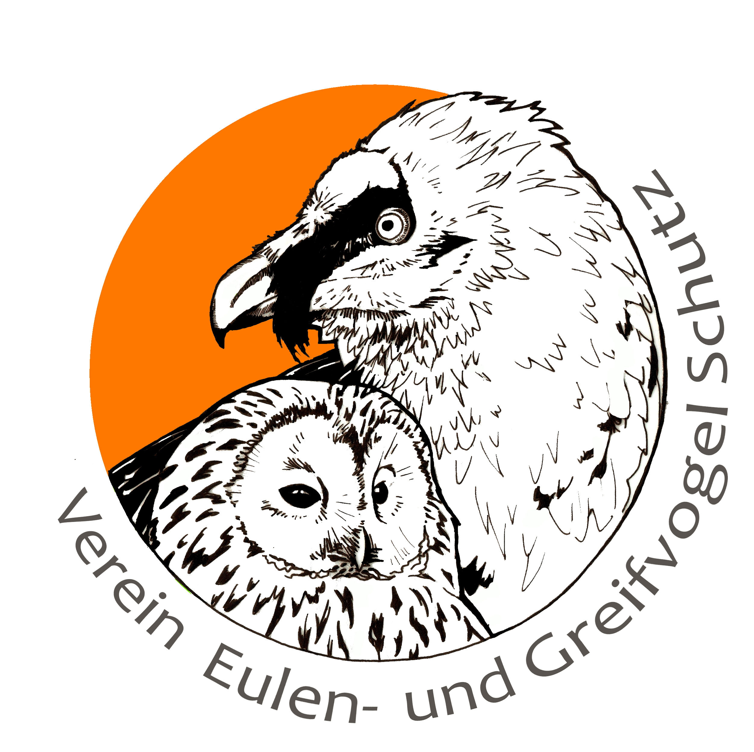 [Translate to English:] Logo der Eulen- und Greifvogelstation