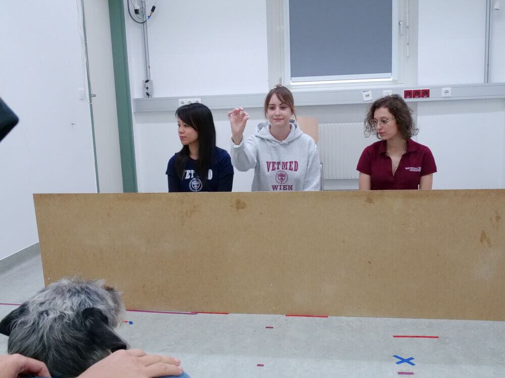 Drei Menschen sitzen, nur die Person in der Mitte blickt zum Hund, die beiden anderen schauen nach links