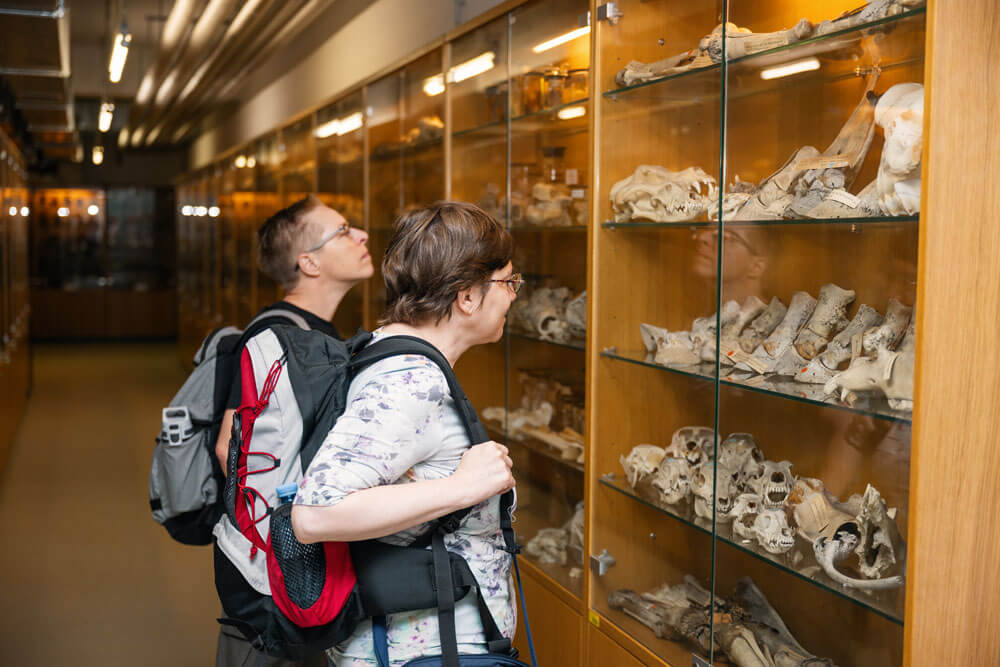 Alumni-Treffen an der Vetmeduni am 20. Juni 2024