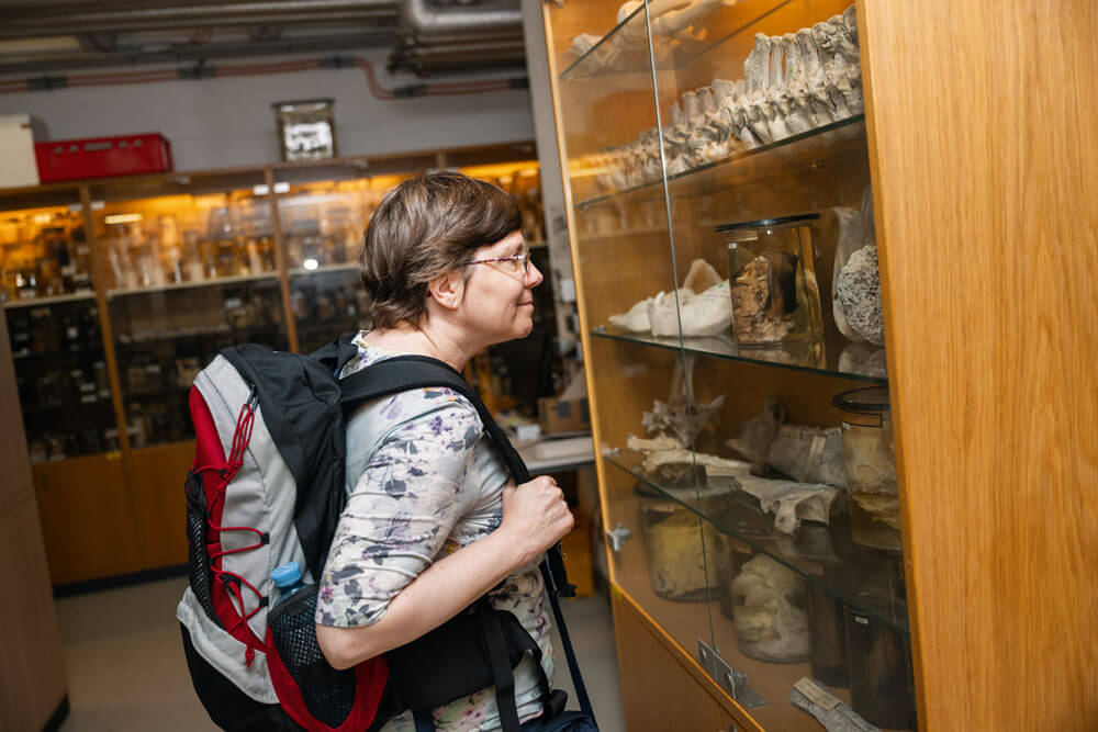Alumni-Treffen an der Vetmeduni am 20. Juni 2024