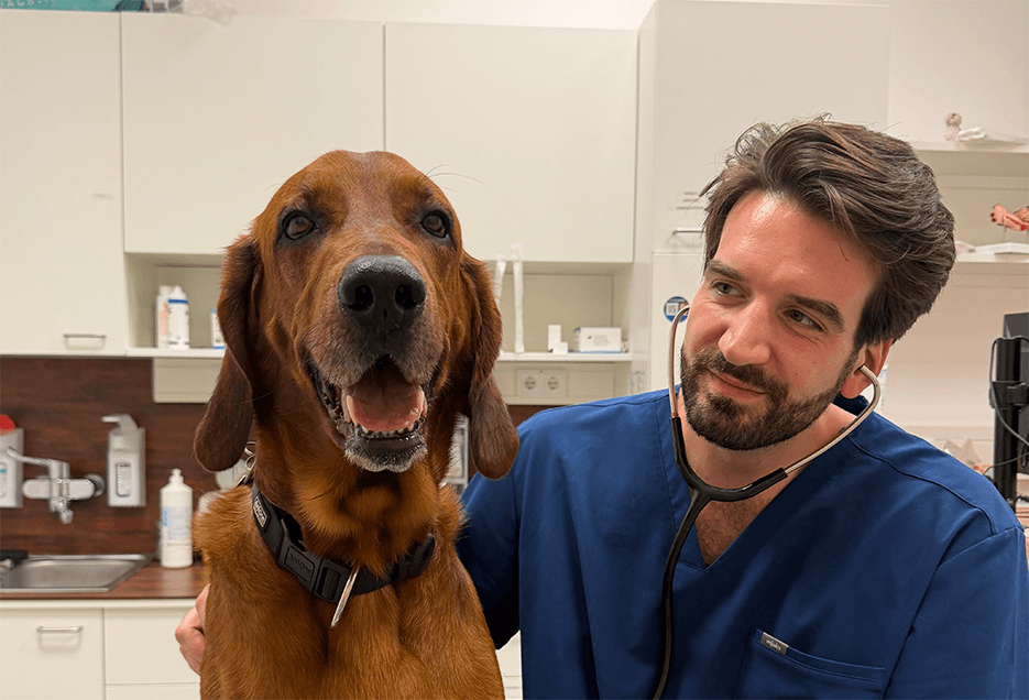 Simon Reinelt in einem Untersuchungsraum mit einem Irish Setter.