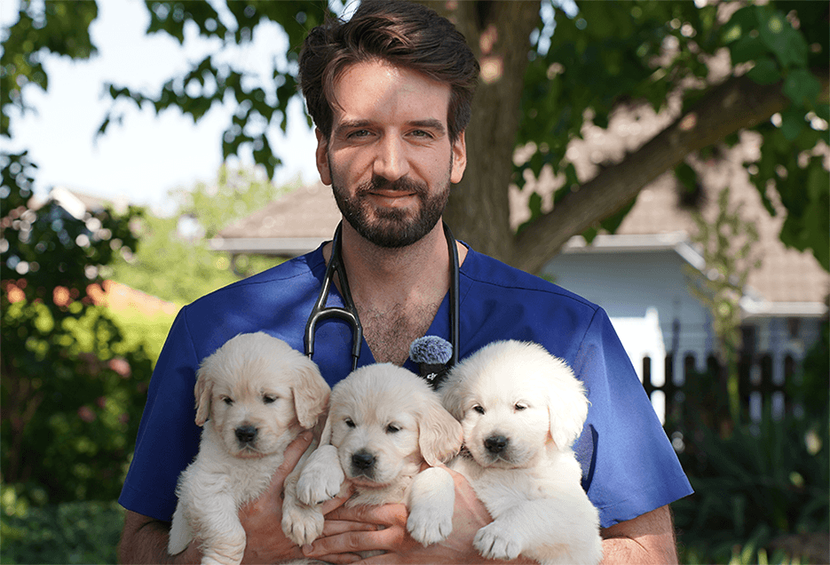 Simon Reinelt mit drei Golden-Retriever Welpen.