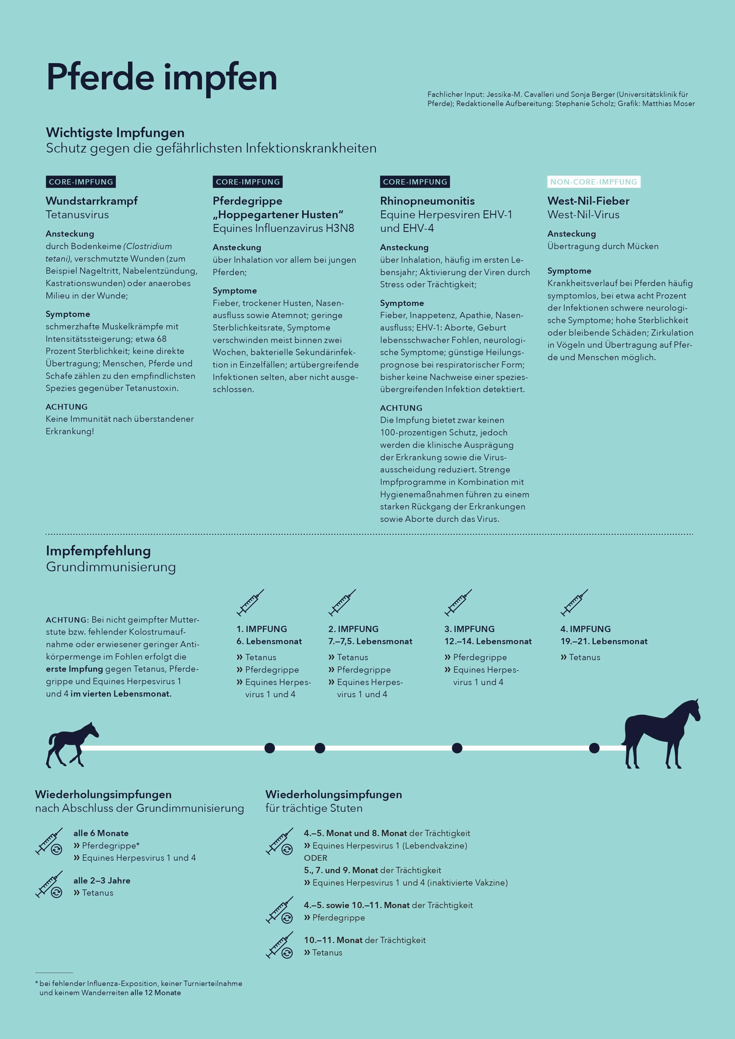 Impfschema Pferde. Illustration: Matthias Moser/Vetmeduni