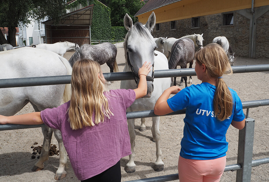 Kinder am Lipizzanergestüt Piber