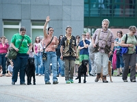 TdoT 2014 026  Tag der offenen Tür am Campus der Veterinärmedizinischen Universität Wien am 24. Mai 2014. Im Bild: Die Retriever-Hundestaffel bei der Demonstration ihres Könnens.