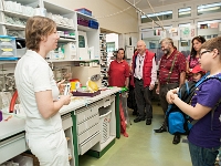 TdoT 2014 149  Tag der offenen Tür am Campus der Veterinärmedizinischen Universität Wien am 24. Mai 2014. Im Bild: Führung durch die Kleintierchirurgie.
