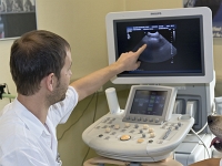 Ultraschall BER 1002 170114 Kopie  Ultraschalluntersuchung an einem Golden Retriever Tierarzt zeigt auf Monitor,
